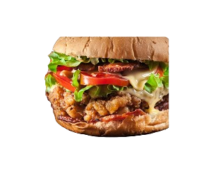 Crispy Chicken Burger 